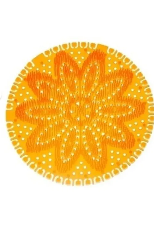 Mini Pisuvar Koku Giderici Mango Kokusu 10' lu Paket