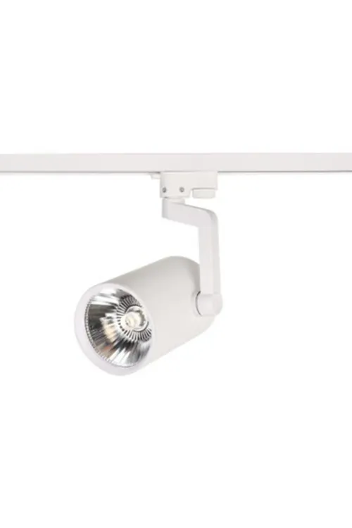 30w Ray Spot Beyaz Kasa Işık Rengi Günışıgı Ct-5333