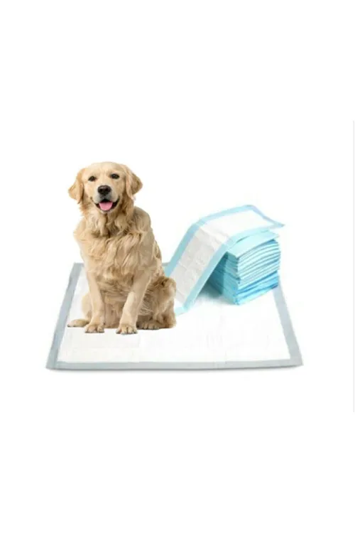 Kedi Köpek Çiş Pedi Serme Bezi Yatak Koruyucu Örtü 30'lu Paket
