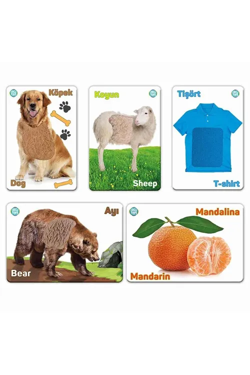Dokun Hisset Tanı CRCL011