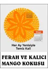 Lavabo Koku Giderici Mango Kokulu Süzgeç Evye Koku Önleyici Çok Amaçlı Banyo Duş Çöp Kovası Uyumlu