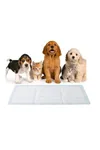 Kedi Köpek Çiş Pedi 60x90 Cm 30' Lu Paket Yatak Koruyucu Serme 1 Adet