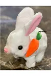 Elektronik Pilli Sesli Zıplayan Hareketli Havuçlu Peluş Tavşan 18x17 Cm.