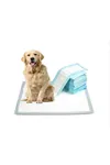 Kedi Köpek Çiş Pedi Serme Bezi Yatak Koruyucu Örtü 30'lu Paket
