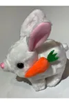 Elektronik Pilli Sesli Zıplayan Hareketli Havuçlu Peluş Tavşan 18x17 Cm.