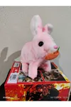 Tivens Elektronik Pilli Sesli Zıplayan Hareketli Havuçlu Peluş Tavşan 18x17 Cm kaliteli ürün