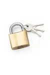 Trı-moon Sarı Asma Kilit 25 mm